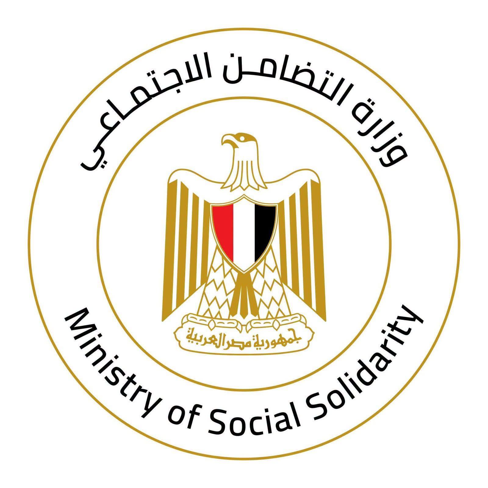 خطة حكومية موحدة لضبط ملف حيوانات الشارع