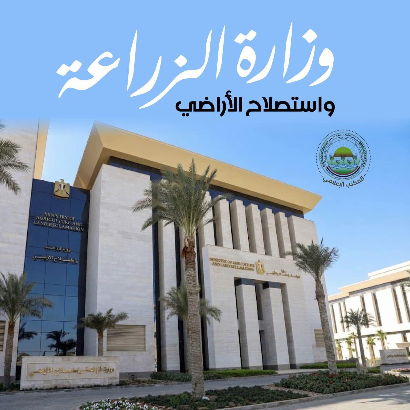 213 طن لحوم مخالفة و908 محاضر في أغسطس