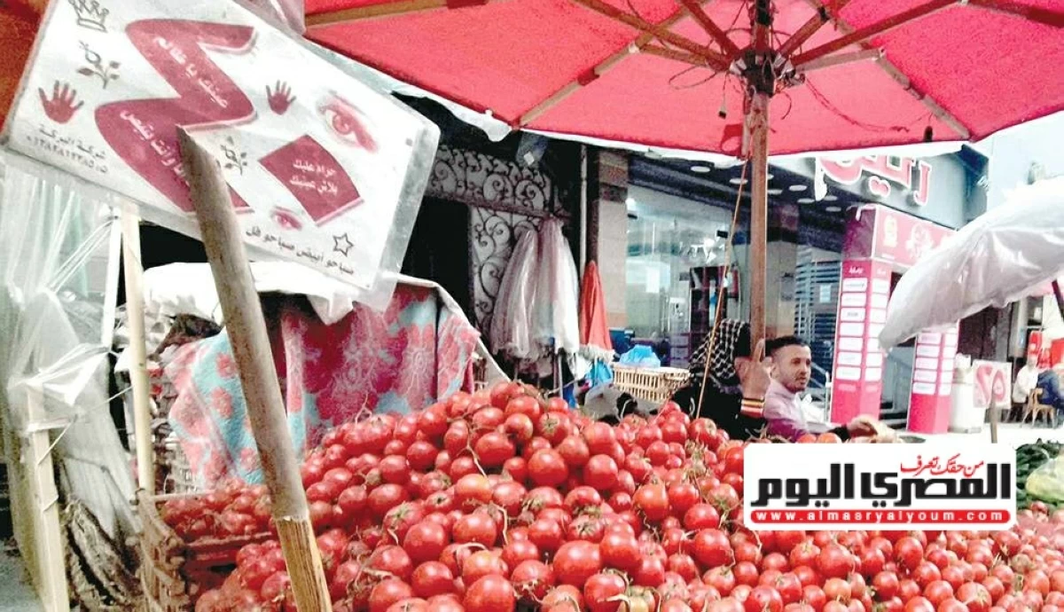 سعر البطاطس والبصل والخضار في الأسواق اليوم الجمعة 03 يوليو 2026