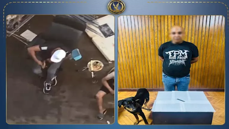 لتدريبه على الشراسة.. ضبط بائع خردة عذب كلبًا بسلاح أبيض في الإسكندرية 