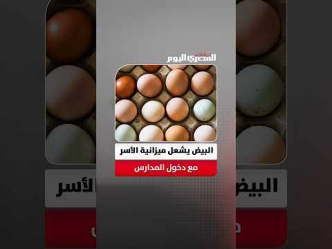 قفزة مفاجئة فى سعر كرتونة البيض.. إلى أين وصل سعرها؟