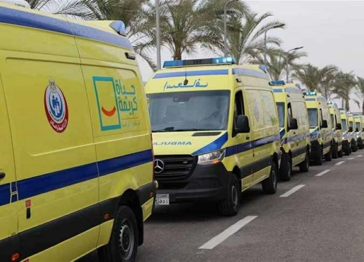 إصابة أب ونجليه في مشاجرة بقرية ميت غريطة بالدقهلية