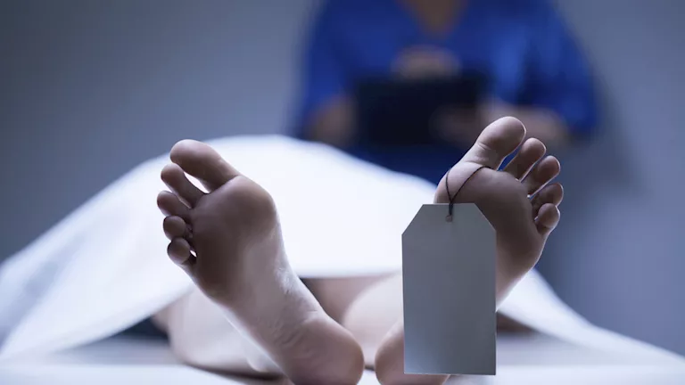 ذبحه في الشارع.. مسن ينهي حياة شاب أمام المارة بالقليوبية 